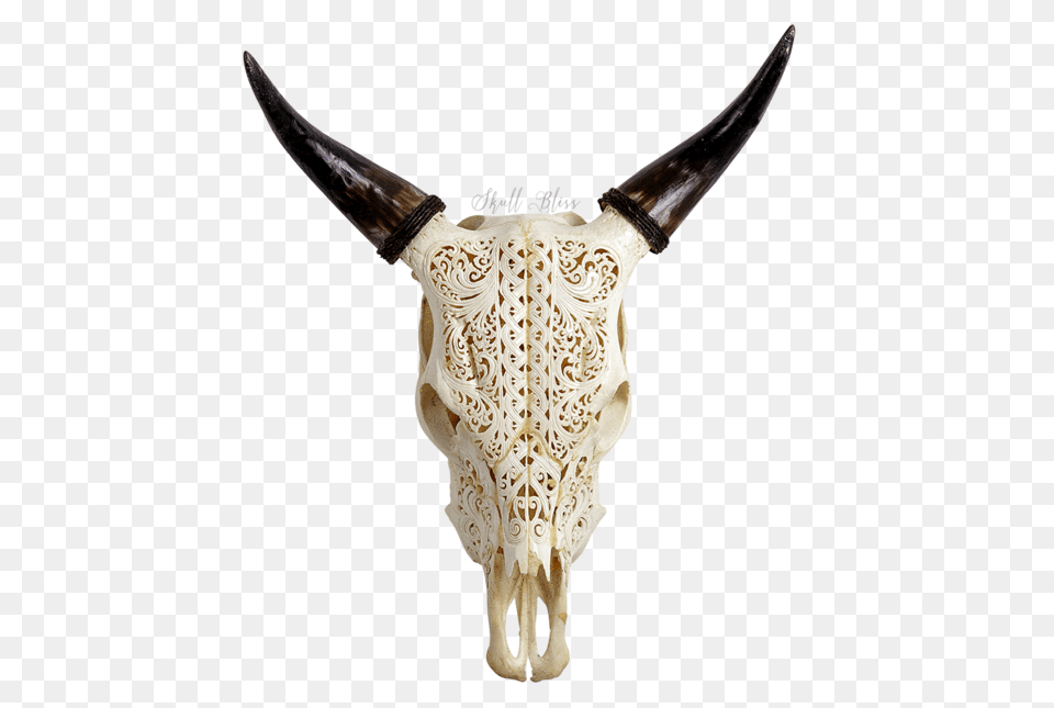 Carved Cow Skull, Animal, Mammal, Bull, Knife Png Image