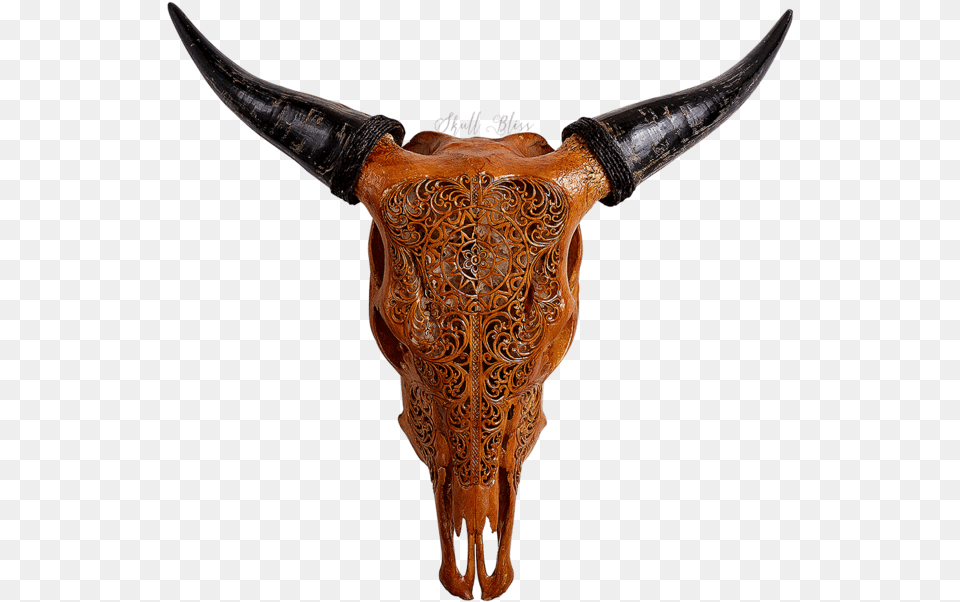 Carved Cow Skull Bull Skalls, Animal, Mammal, Knife, Weapon Png