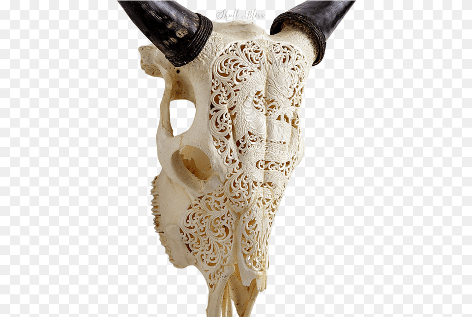 Carved Cow Skull Carving, Animal, Invertebrate, Sea Life, Seashell Free Png