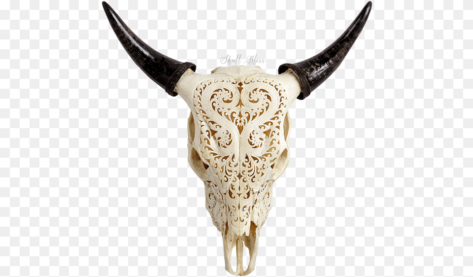 Carved Cow Skull Cattle, Animal, Mammal, Bull, Knife Free Transparent Png
