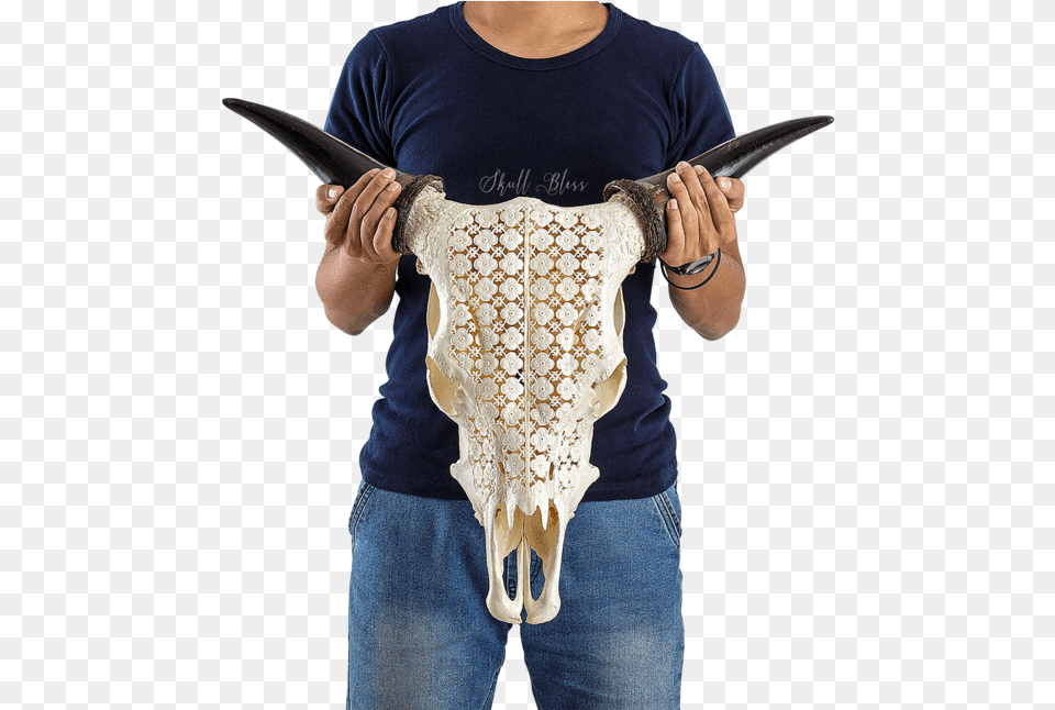 Carved Cow Skull Firearm, Clothing, Person, T-shirt, Electronics Png