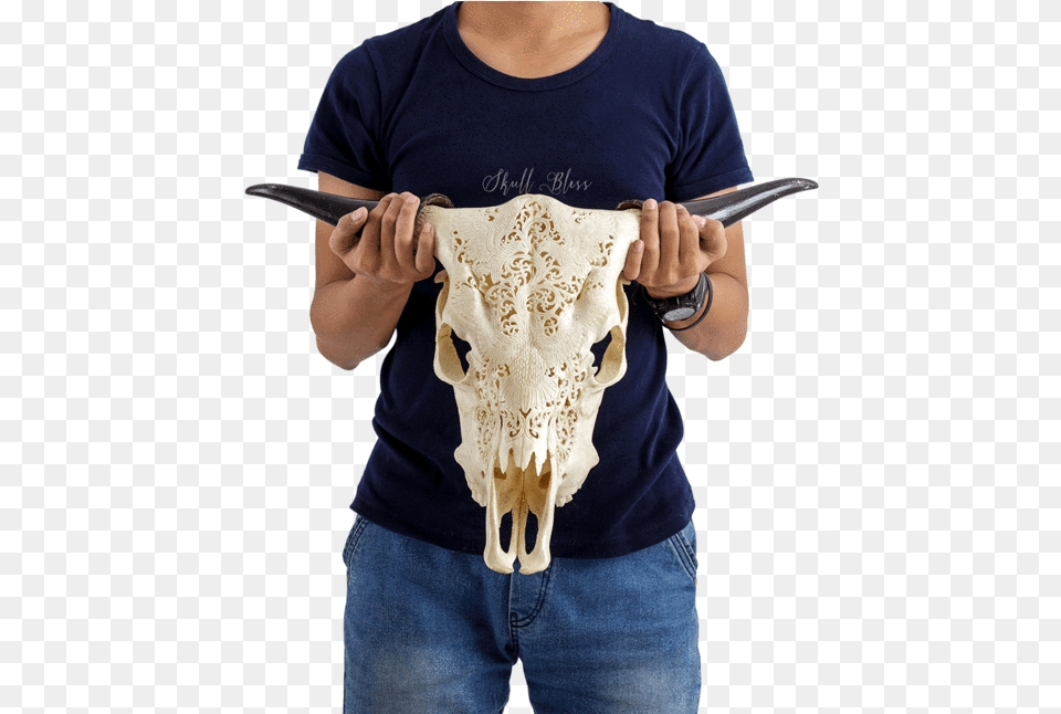 Carved Cow Skull Horn, Clothing, T-shirt, Person Png