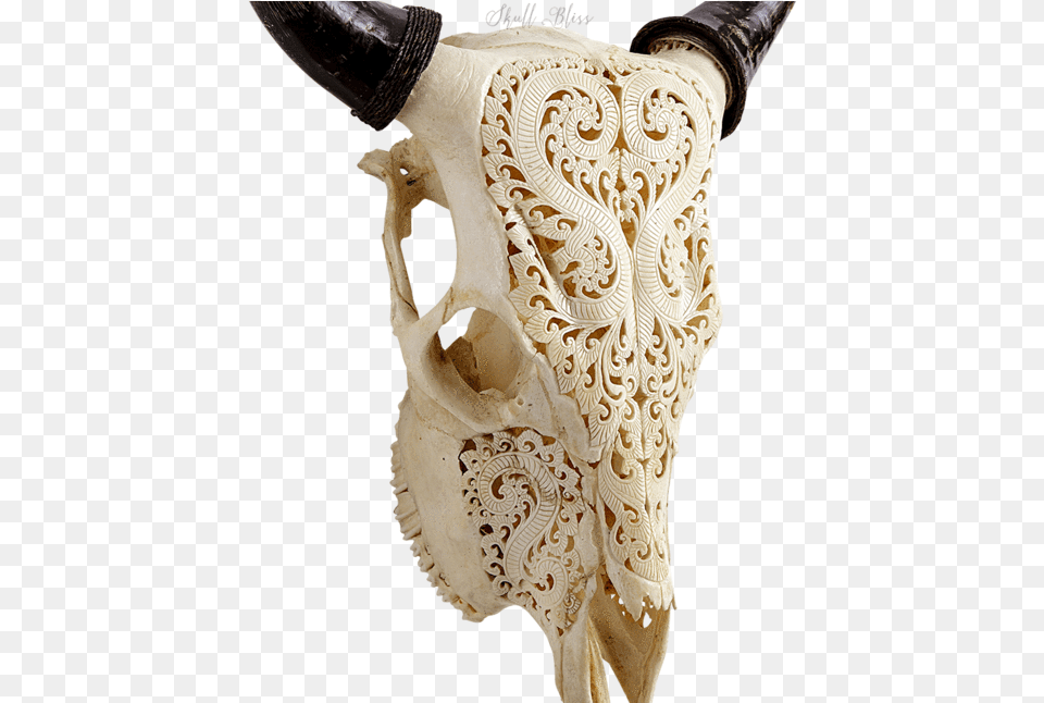 Carved Cow Skull Image Skull, Animal, Invertebrate, Sea Life, Seashell Png