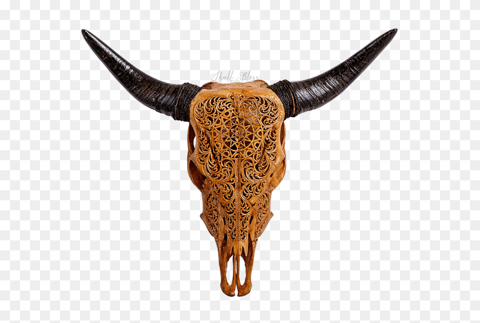 Carved Cow Skull Xl Horns, Animal, Bull, Mammal, Cattle Free Png