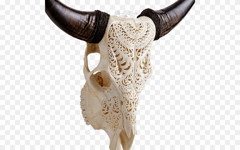 Carved Cow Skull Xl Horns Cattle, Animal, Bull, Mammal, Livestock Free Png