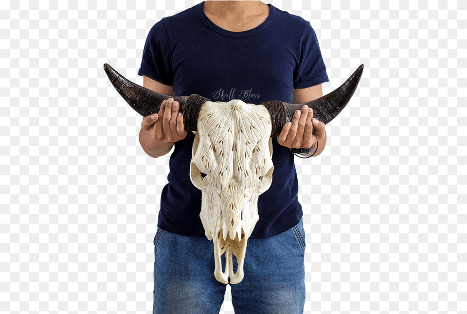 Carved Cow Skull Xl Horns Mandala Bull Skull Painted, Animal, Mammal, T-shirt, Clothing Free Png