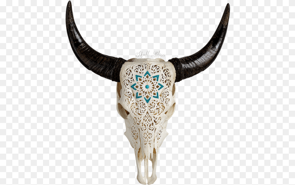 Carved Cow Skull Xl Horns Skull, Animal, Bull, Mammal, Cattle Free Transparent Png