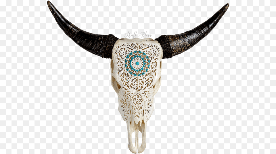 Carved Cow Xl Horns Cow Skull Animal, Mammal, Bull, Accessories Free Transparent Png
