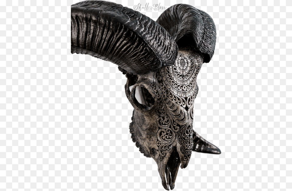 Carved Ram Skull Bat, Accessories, Art, Ornament, Adult Free Png Download