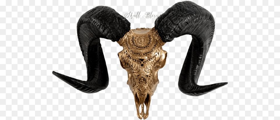 Carved Ram Skull Buffalo Skull Gold, Animal, Fish, Sea Life, Shark Png Image