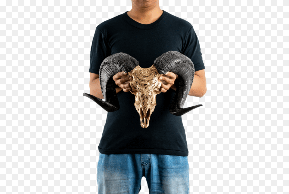 Carved Ram Skull Bull, Clothing, T-shirt, Adult, Male Free Png