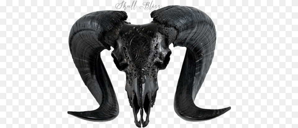 Carved Ram Skull Horn, Animal, Elephant, Mammal, Wildlife Free Png Download