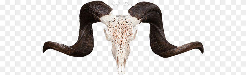 Carved Ram Skull Ram Skull Art Transparant, Livestock Free Png Download