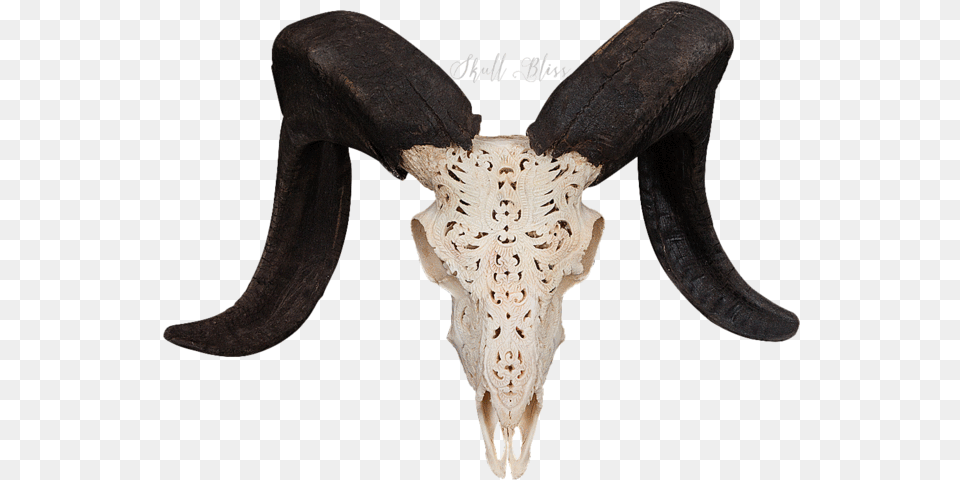 Carved Ram Skull Ram Skull Transparent, Home Decor, Cushion, Animal, Elephant Png
