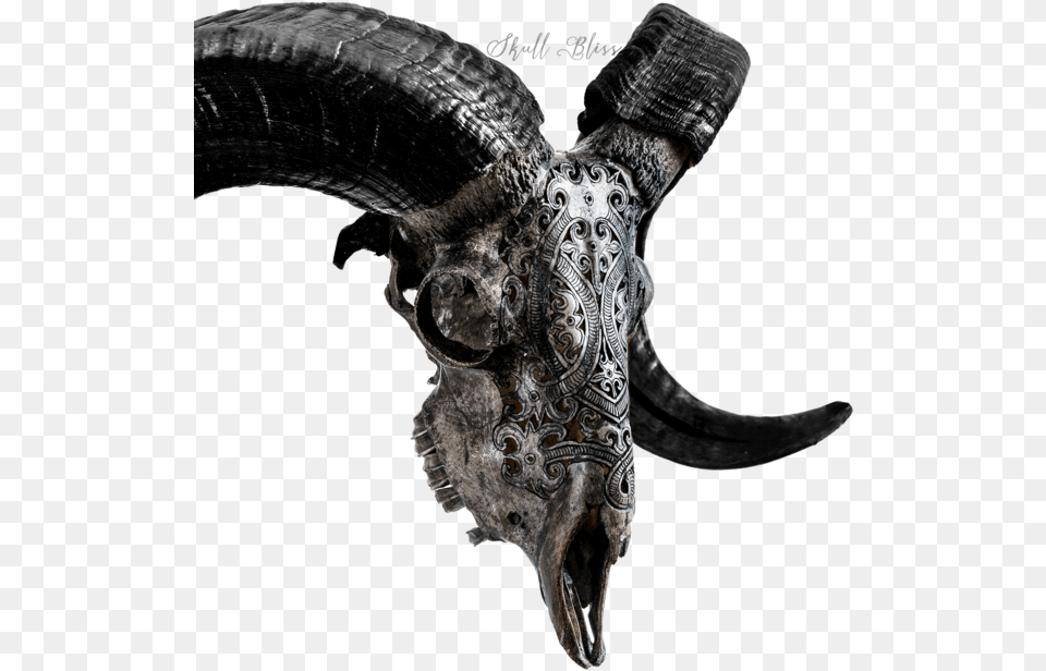Carved Ram Skull Skull, Electronics, Hardware, Accessories, Weapon Png Image