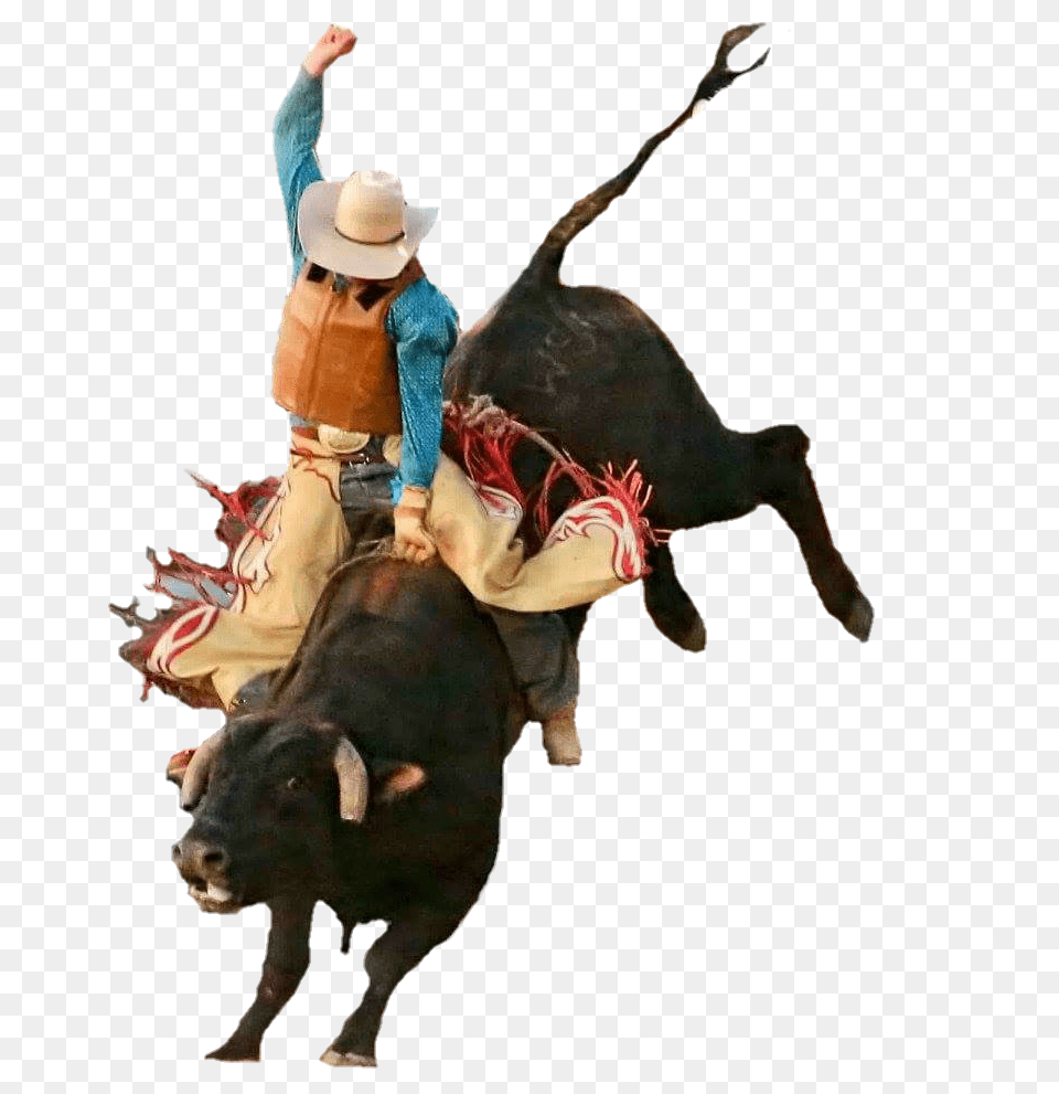 Cascade Rodeo Association, Animal, Bull, Mammal, Cow Free Transparent Png
