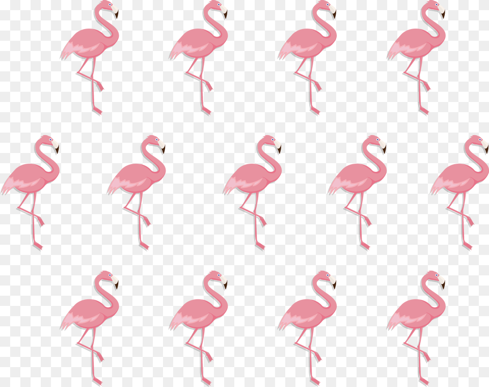 Case Pillow Beak Pattern Flamingo Pattern Background, Animal, Bird, Flock Free Transparent Png