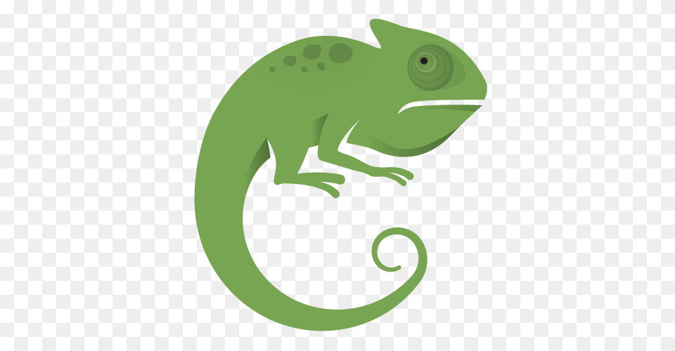 Case Studies, Animal, Lizard, Reptile, Green Lizard Png