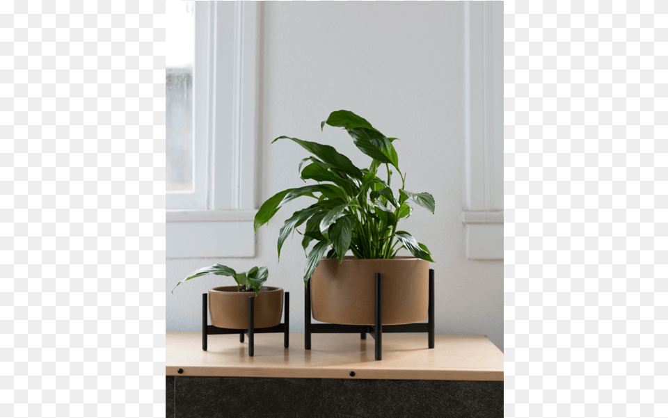 Case Study Tabletop Planter With Wood Stand Interior Design, Jar, Plant, Potted Plant, Pottery Free Png Download