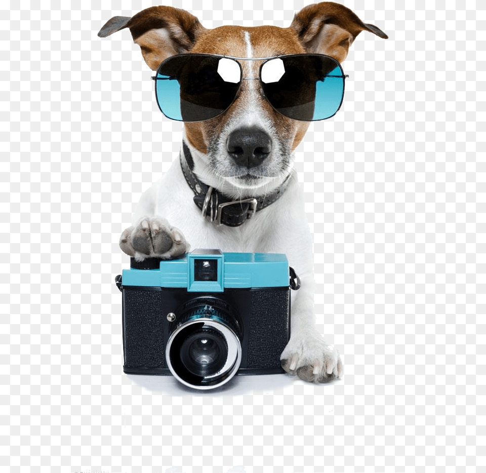 Casey Neistat Jack Russell With Camera, Accessories, Photography, Sunglasses, Electronics Free Png