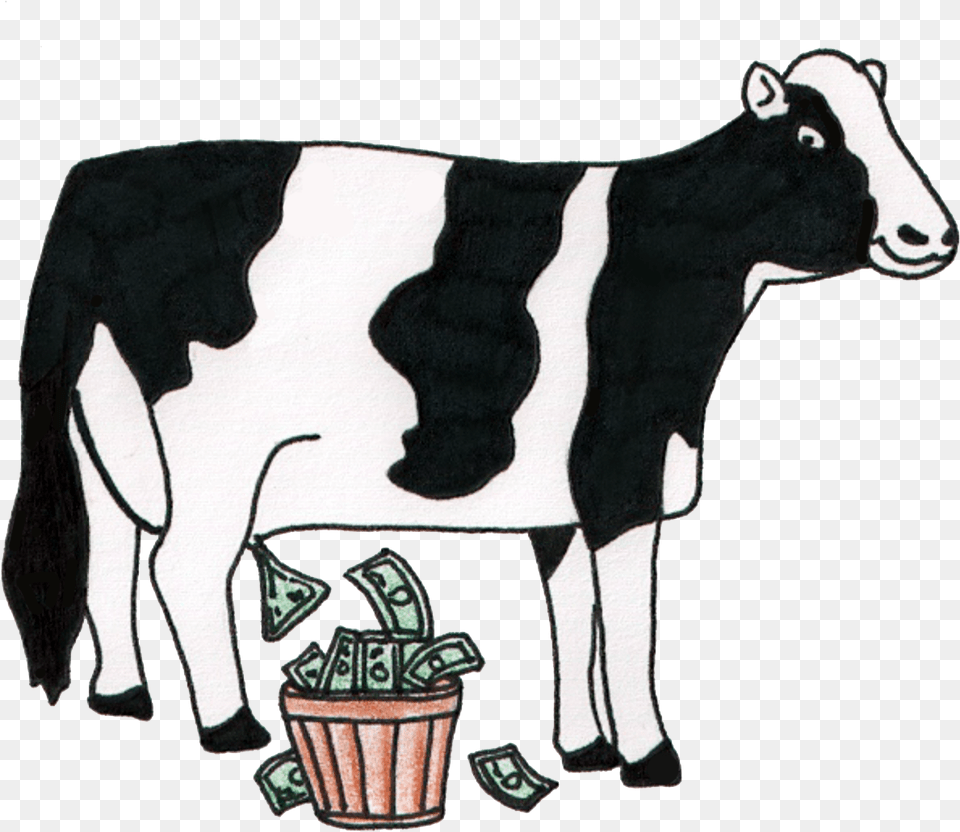 Cash Cow, Animal, Cattle, Dairy Cow, Livestock Free Transparent Png