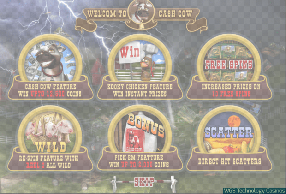 Cash Cow Slot Game Features, Animal, Pig, Mammal, Gambling Png Image