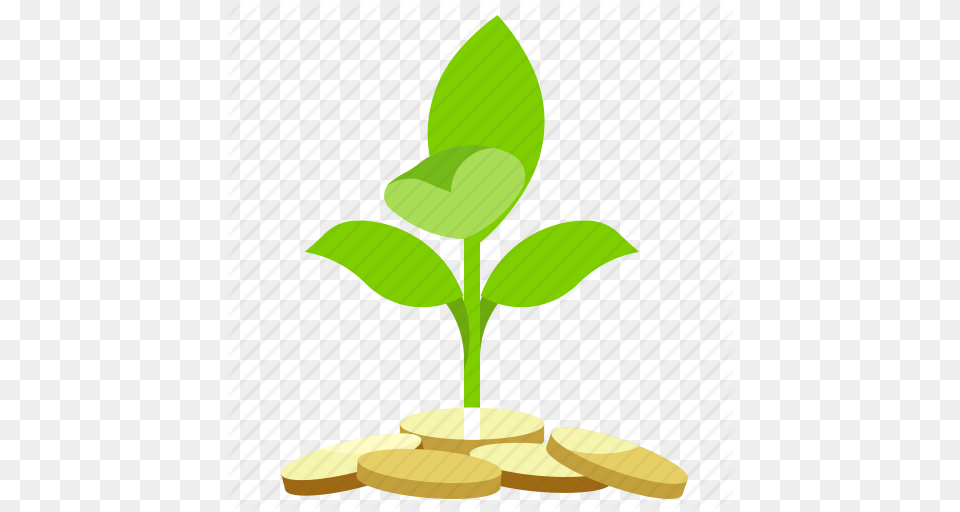 Cash Finance Money Plant Icon, Leaf, Herbal, Herbs, Green Free Png Download