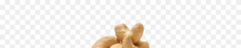 Cashew, Food, Nut, Plant, Produce Free Transparent Png