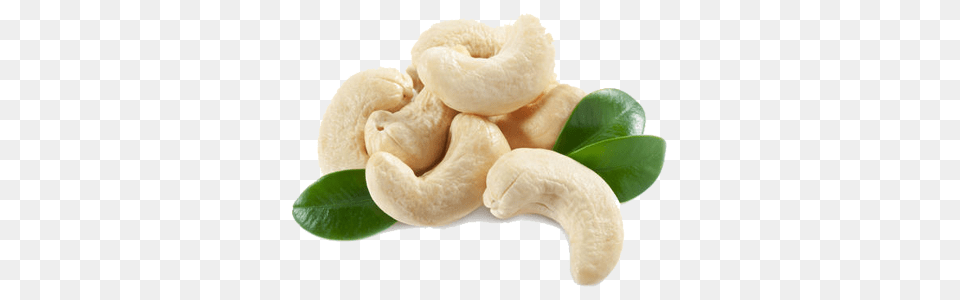 Cashew, Food, Nut, Plant, Produce Png