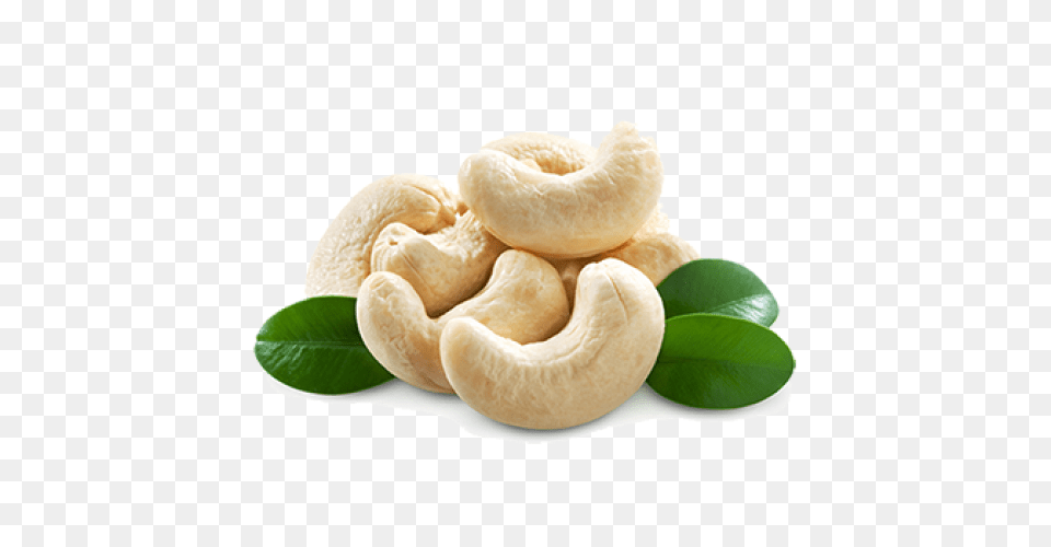 Cashew, Food, Nut, Plant, Produce Png
