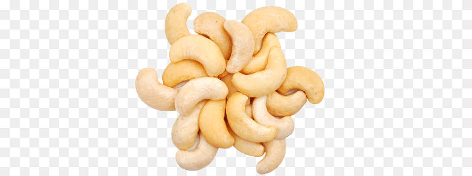 Cashew, Food, Nut, Plant, Produce Free Png