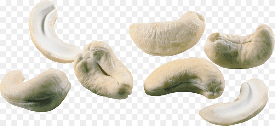 Cashew Png