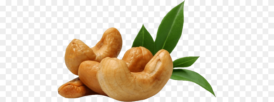 Cashew, Food, Nut, Plant, Produce Free Png