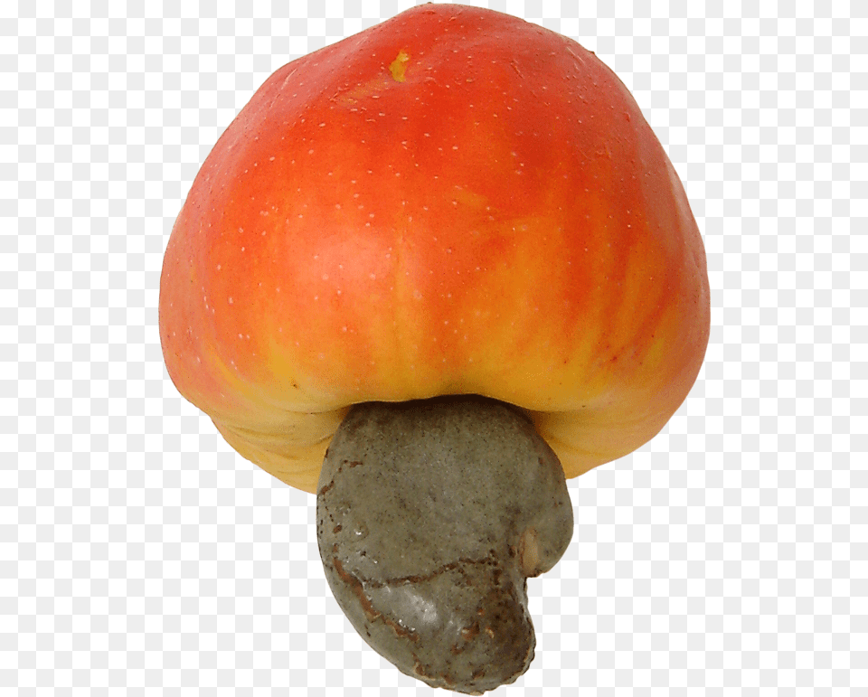 Cashew Brazil Fruit 3 Cashew Apples, Food, Nut, Plant, Produce Png Image