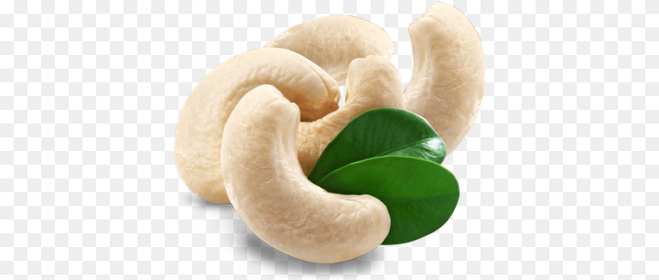 Cashew Images Kaju, Food, Nut, Plant, Produce Free Transparent Png