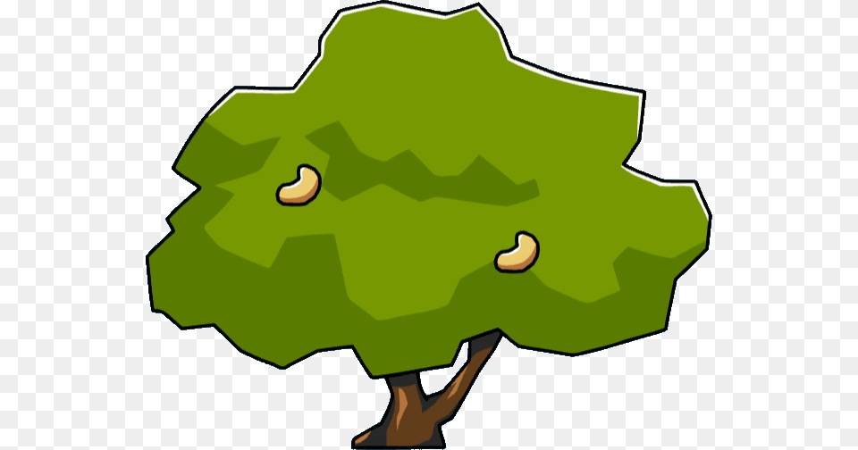 Cashew Tree, Green, Plant, Leaf, Vegetation Free Png Download