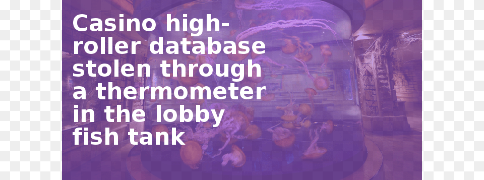 Casino High Roller Database Stolen Through A Thermometer Blank Interstate Sign, Animal, Aquarium, Fish, Sea Life Free Transparent Png