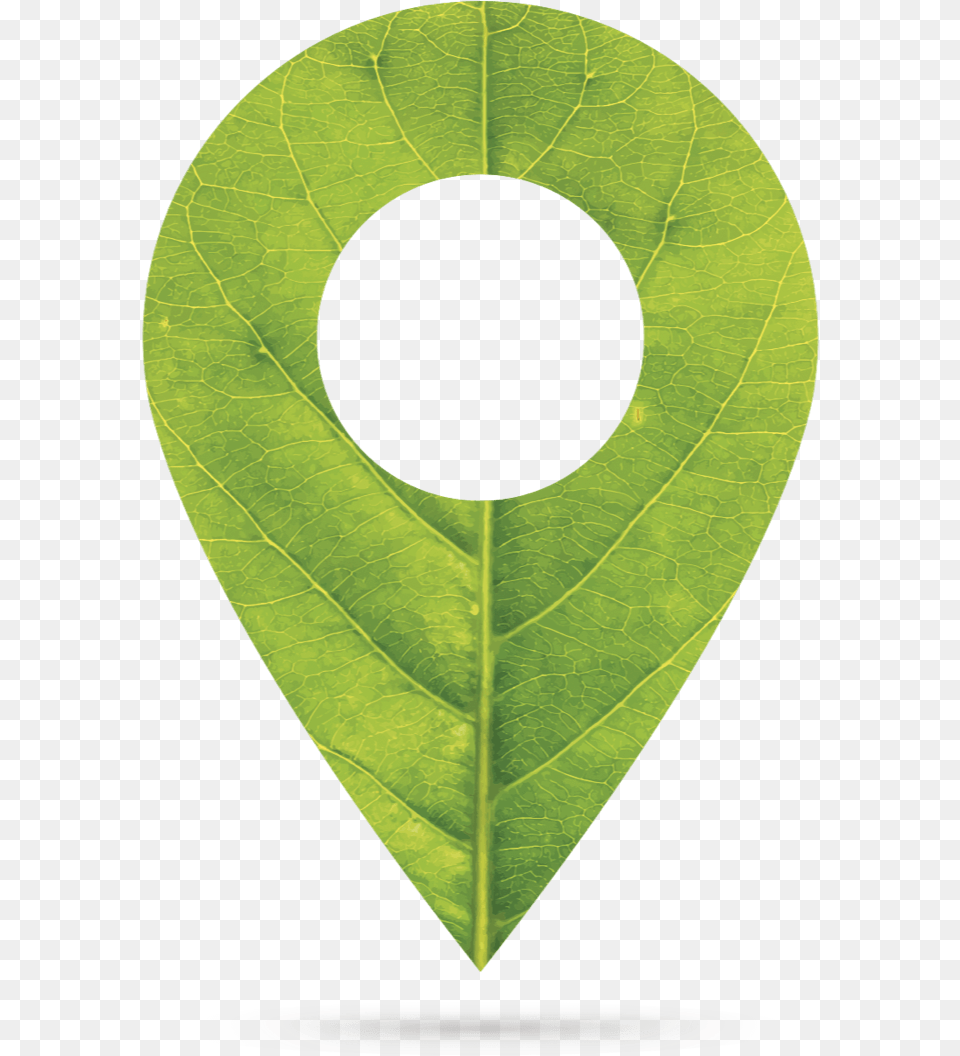 Casio Green Marker Circle, Leaf, Plant, Ball, Sport Png Image