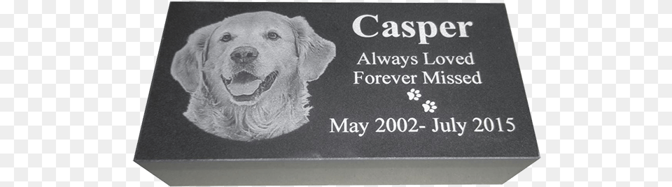 Casper 600 Tommy Gun Gangster, Animal, Canine, Dog, Mammal Free Png