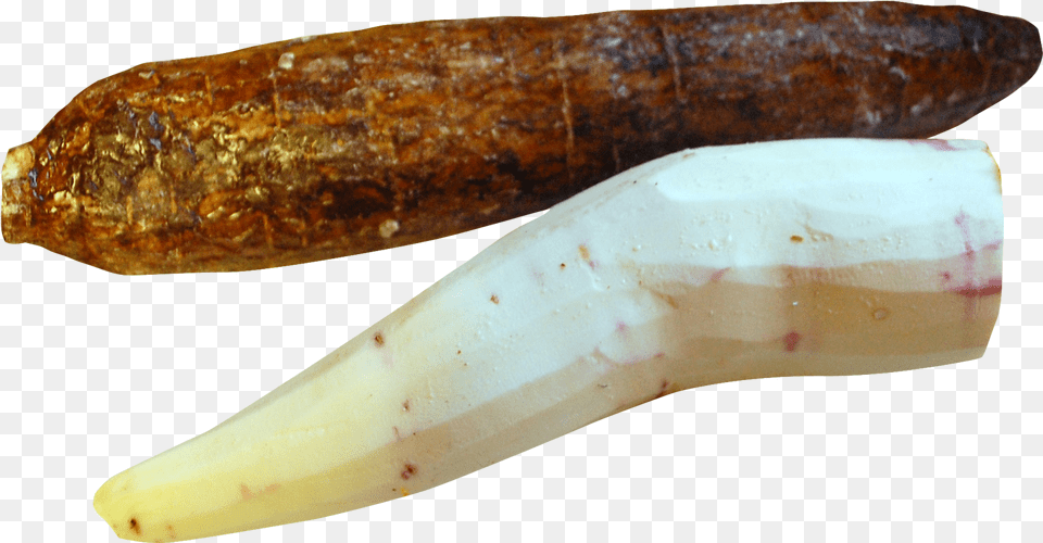 Cassava Peeled Image Cassava Peeling Clipart, Bread, Food, Accessories, Jewelry Free Transparent Png