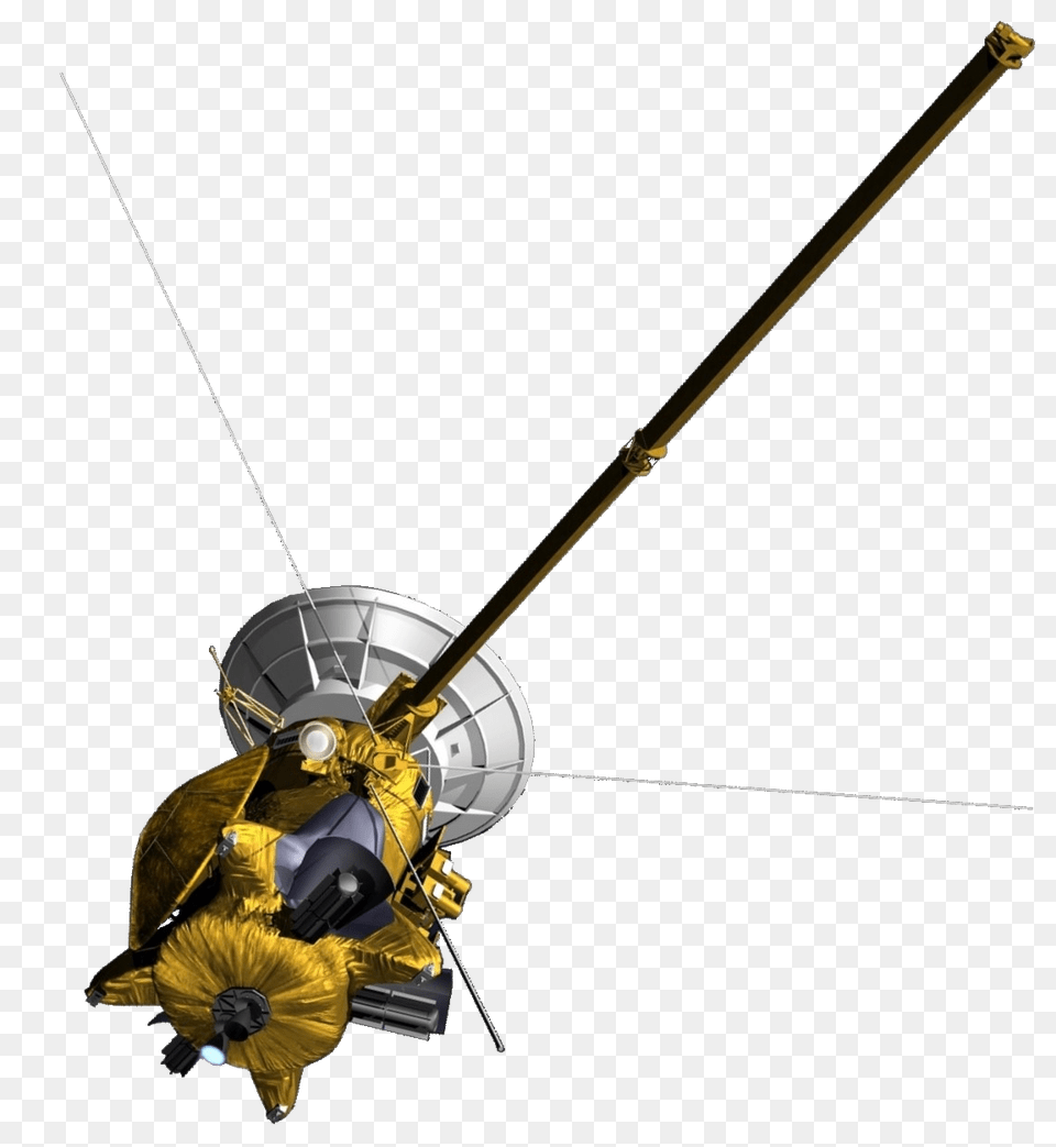 Cassini Sword, Weapon, Bow, Animal Free Transparent Png