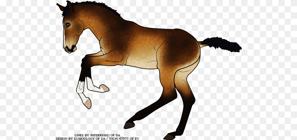 Castiel Animal Figure, Colt Horse, Horse, Mammal, Foal Free Png