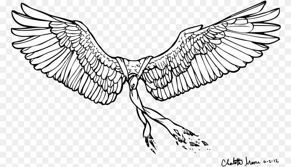 Castiel Drawing Line Art Heart Wing Download Accipitridae, Animal, Bird, Flying, Vulture Free Transparent Png
