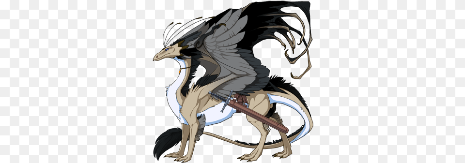 Castiel Grew Up Today Ahhhh Dragon Share Flight Rising Hawks As A Dragon, Adult, Female, Person, Woman Png