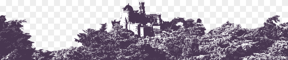 Castle, Plant, Tree, Fir, Vegetation Png