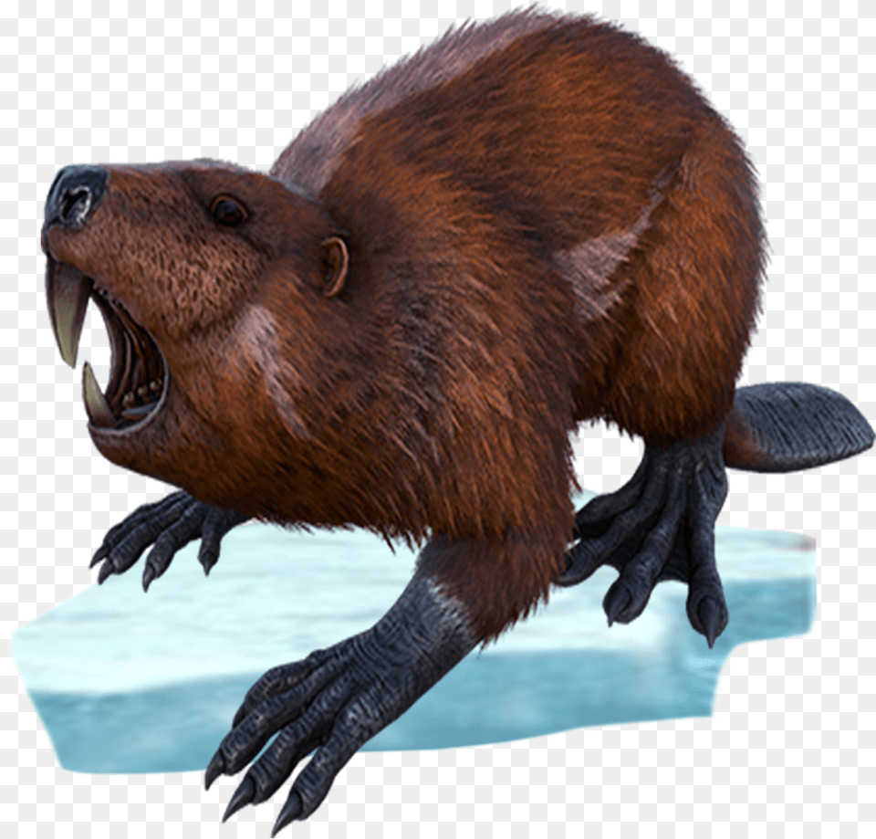 Castoroides Ark Giant Beaver, Animal, Mammal, Rodent, Wildlife Free Transparent Png