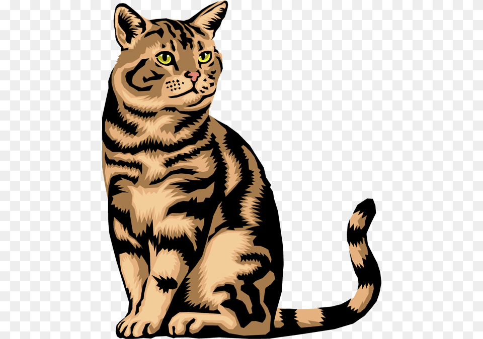 Cat, Animal, Mammal, Tiger, Wildlife Free Png Download