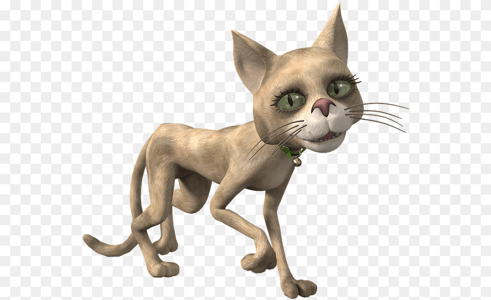 Cat, Animal, Mammal, Pet Free Transparent Png