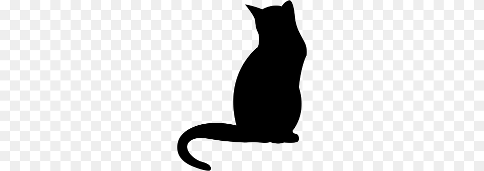 Cat Animal, Mammal, Pet, Silhouette Png Image