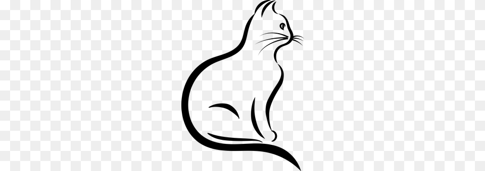 Cat Gray Png Image